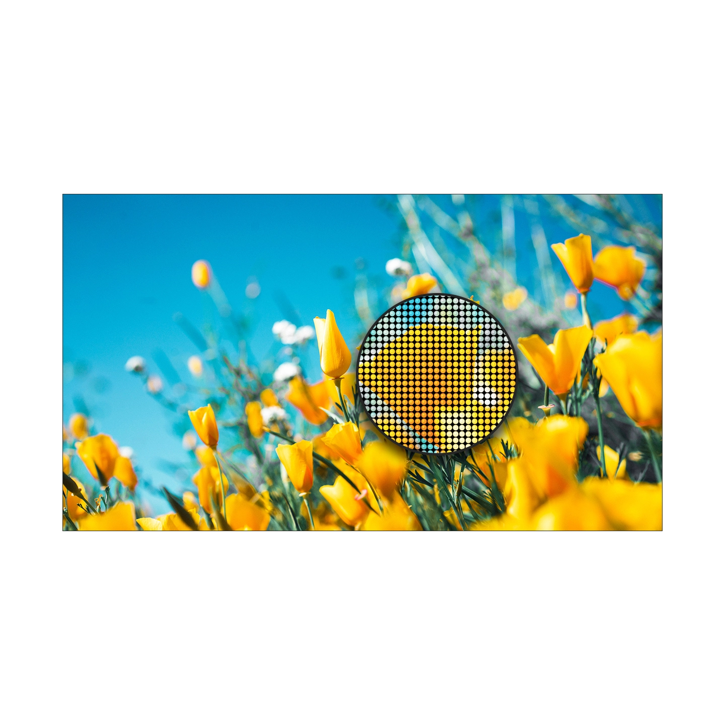 AllSee DV-LED All-In-One Window Displays - 1